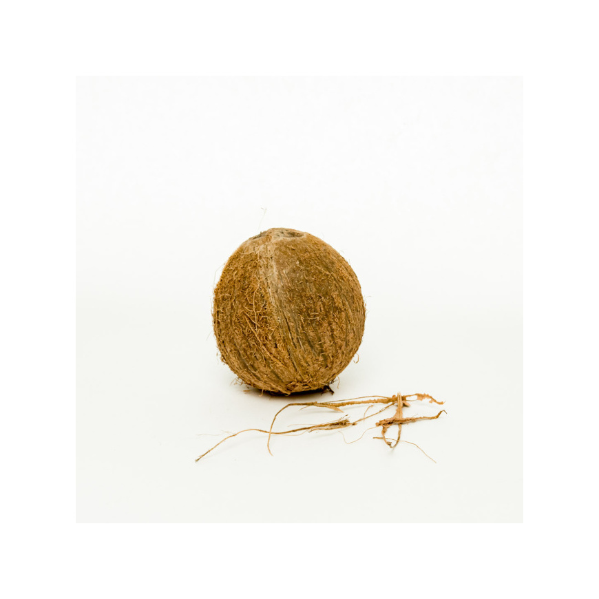 Kokosový orech čerstvý 1 ks